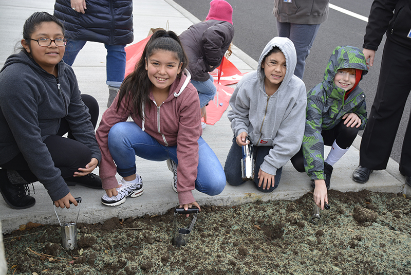 Students plant tulips as part of Red Ribbon Week