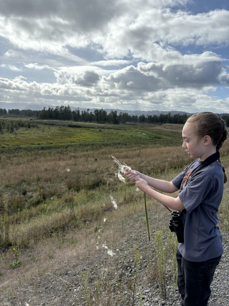 Students gathers sees from native plant during field trip with Steigerwald Lake Wildlife Refuge in background