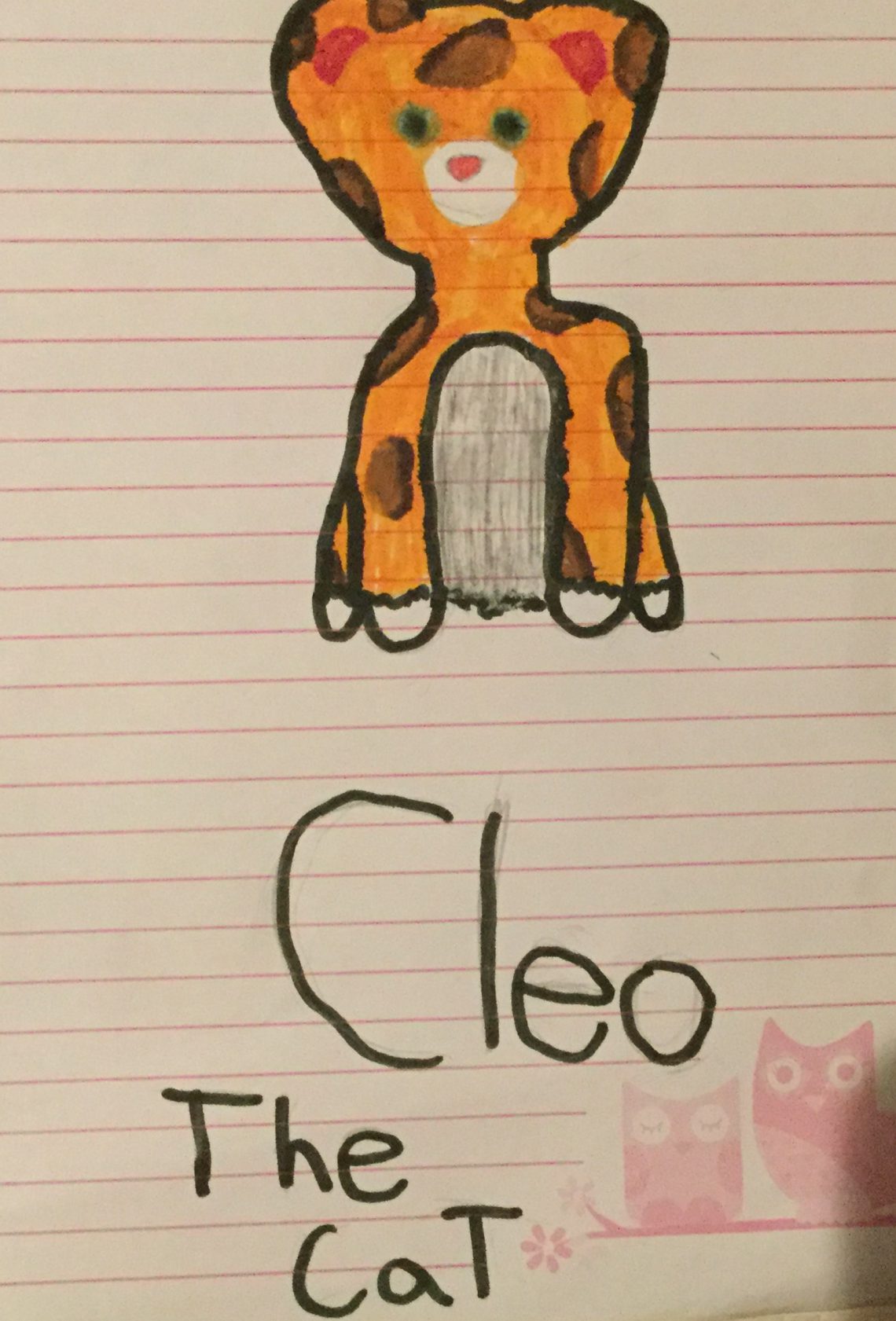 Cleo the cat